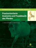 Praxisorientierte Anatomie und Propädeutik des Pferdes