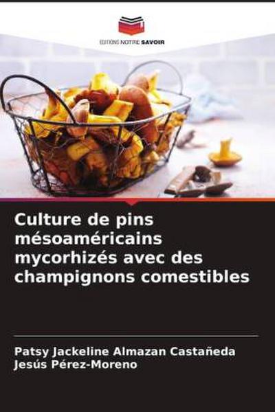Culture de pins mésoaméricains mycorhizés avec des champignons comestibles