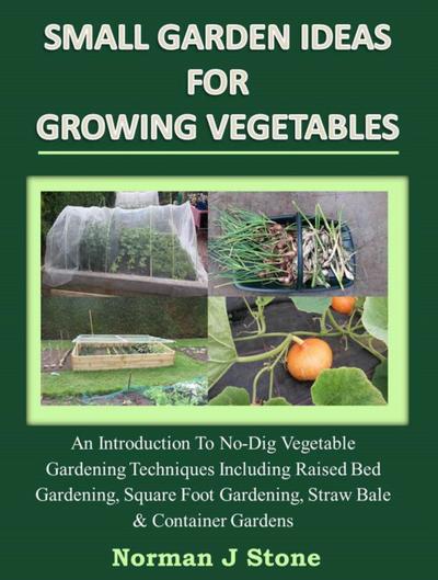 Small Garden Ideas For Growing Vegetables