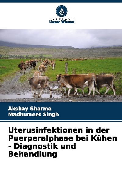 Uterusinfektionen in der Puerperalphase bei Kühen - Diagnostik und Behandlung