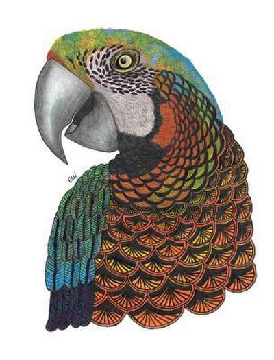 Tangleeasy Lined Journal Parrot