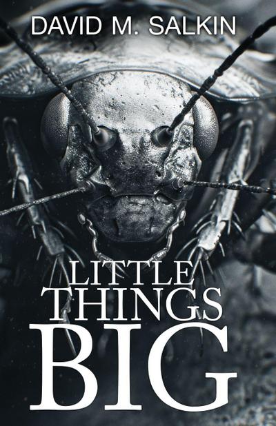 Little Things Big