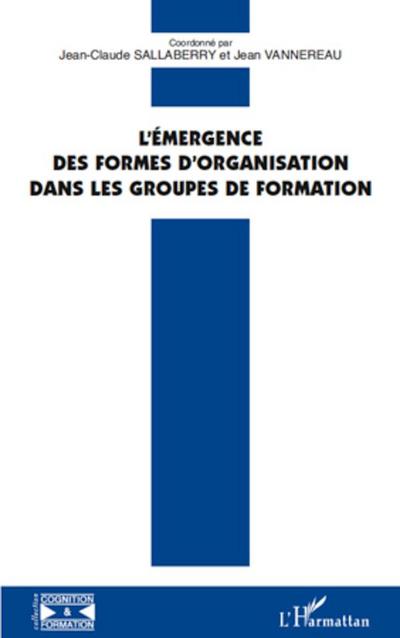 L’émergence des formes d’organisation dans les groupes de formation