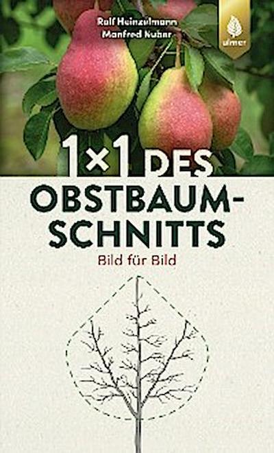 1 x 1 des Obstbaumschnitts