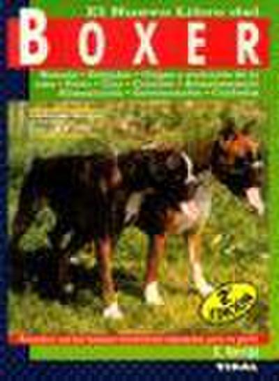 El nuevo libro del boxer