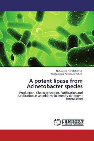 A potent lipase from Acinetobacter species