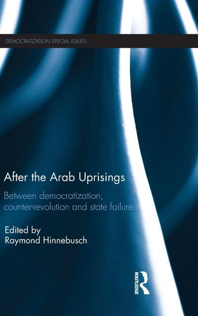 After the Arab Uprisings