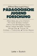 Pädagogische Jugendforschung