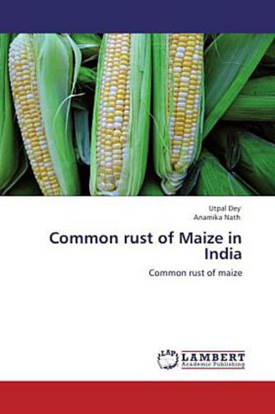 Common rust of Maize in India