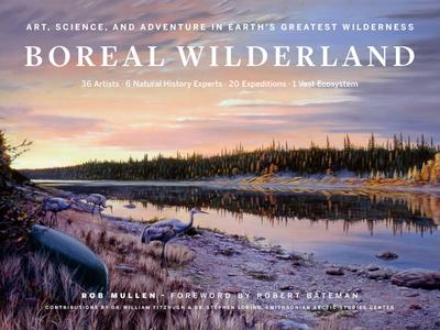Boreal Wilderland