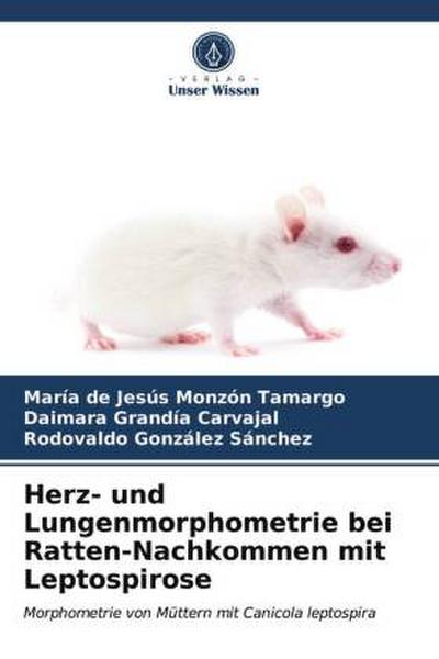 Herz- und Lungenmorphometrie bei Ratten-Nachkommen mit Leptospirose