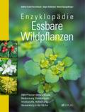 Enzyklopädie Essbare Wildpflanzen