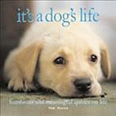 Dog’s Life