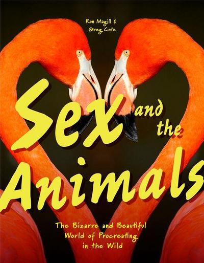 Sex and the Animals