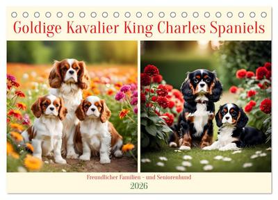 Goldige Kavalier King Charles Spaniels (Tischkalender 2026 DIN A5 quer), CALVENDO Monatskalender