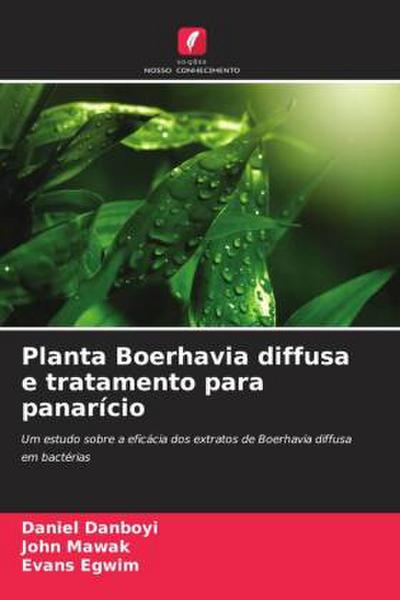 Planta Boerhavia diffusa e tratamento para panarício