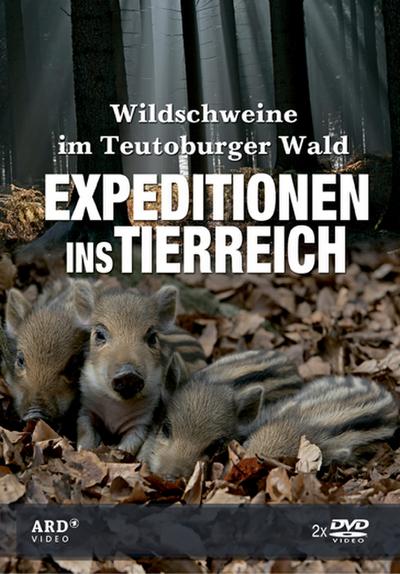 Expeditionen ins Tierreich. Wildschweine im Teutoburger Wald