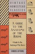 A   Guide to the Anatomy of the Horse - A Collection of Historical Articles on the Skeleton, Hoof, Teeth, Locomotion and Other Aspects of Equine Anato