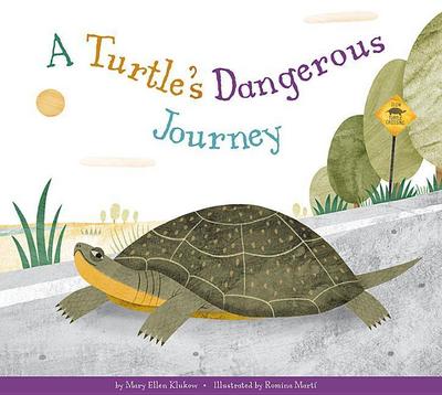 A Turtle’s Dangerous Journey