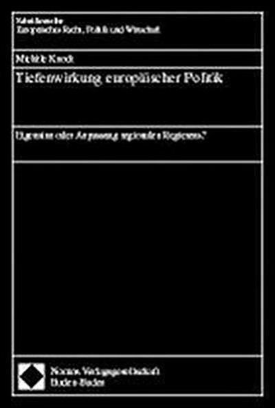 Tiefenwirkung europäischer Politik
