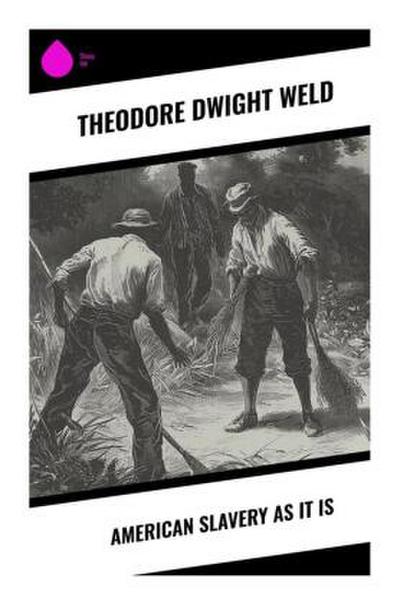 American Slavery as It is