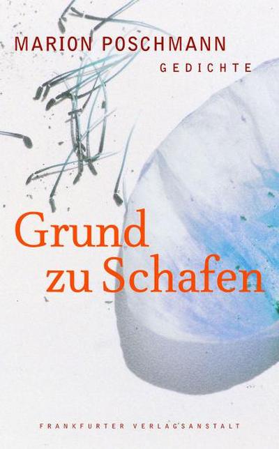 Grund zu Schafen