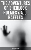 COMPLETE RAFFLES SERIES & SHERLOCK HOLMES ADVE