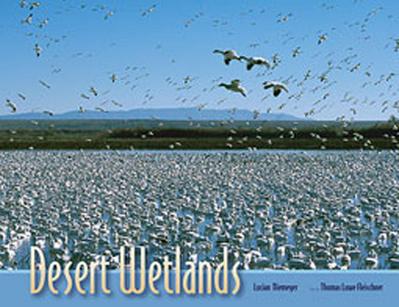 Desert Wetlands