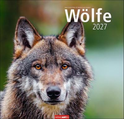Wölfe Kalender 2027 