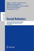 Social Robotics