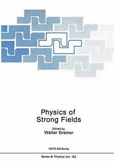Physics of Strong Fields