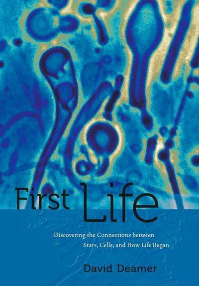 First Life