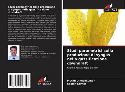 Studi parametrici sulla produzione di syngas nella gassificazione downdraft