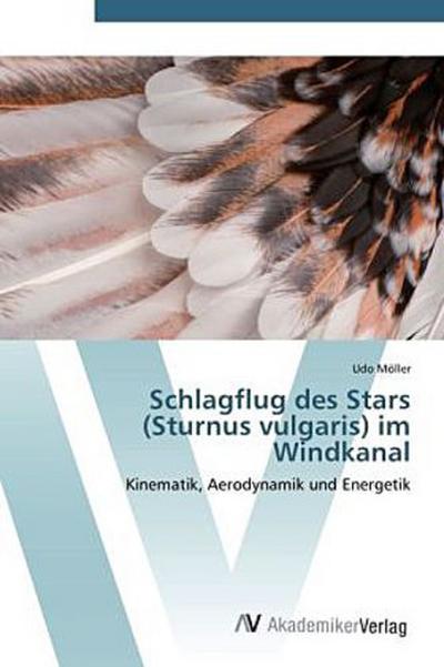 Schlagflug des Stars (Sturnus vulgaris) im Windkanal