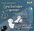 Geschwister-Gespenster - Jetzt geht der Spuk erst richtig los, 2 Audio-CDs