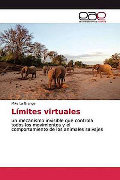 Límites virtuales