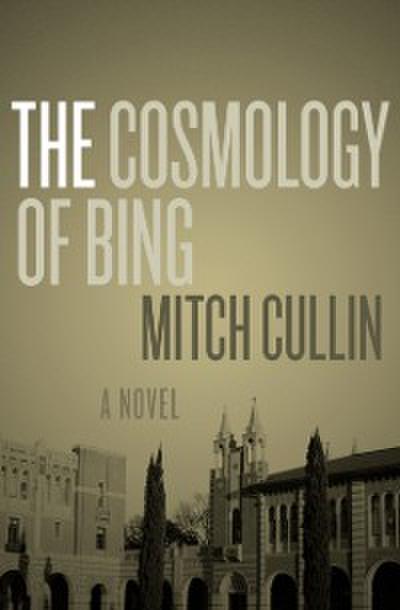 Cosmology of Bing