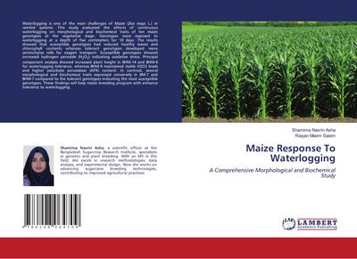 Maize Response To Waterlogging