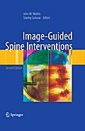 Image-Guided Spine Interventions