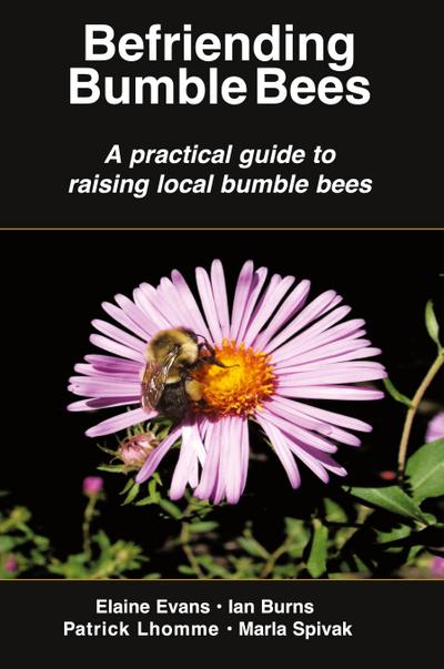 Befriending  Bumble Bees