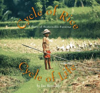 Cycle of Rice, Cycle of Life
