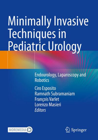 Minimally Invasive Techniques in Pediatric Urology