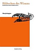 Bildwelten des Wissens / Morphologien