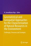 Geostatistical and Geospatial Approaches for the C
