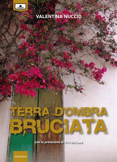 Terra d’ombra bruciata