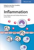 Inflammation, 4 Teile