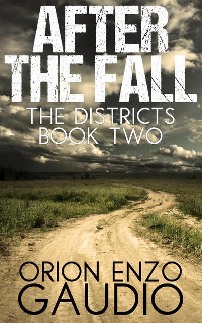 After the Fall (The Districts, #2)