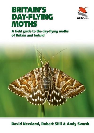 Britain’s Day-flying Moths