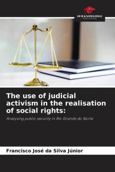 The use of judicial activism in the realisation of social rights: