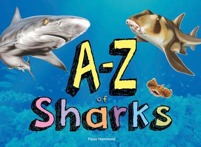 A-Z of Sharks